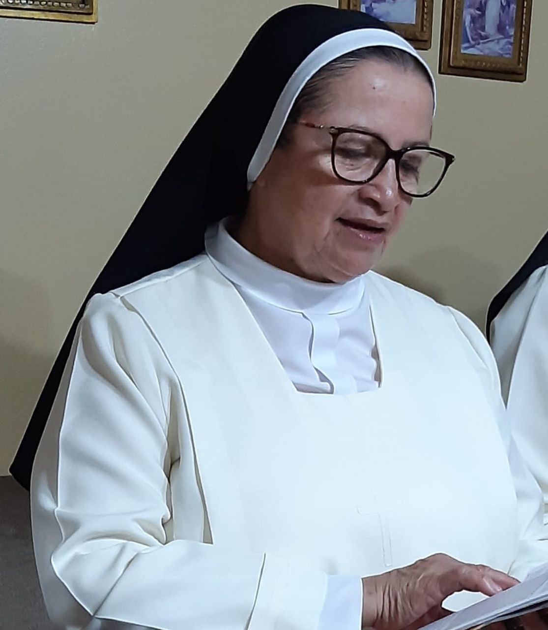 Irmã Josefina, palestrante do Desperta